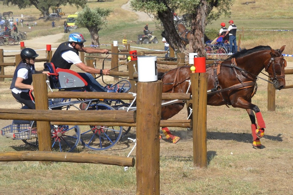 Triple podio Navarro en el Campeonato de España de Enganches